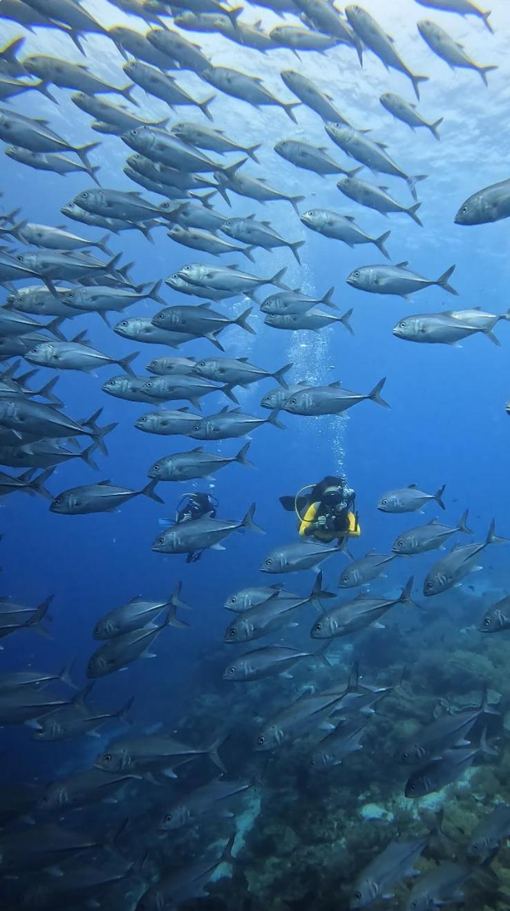 La Pang Resort 라팡리조트 Panglao Bagian luar foto