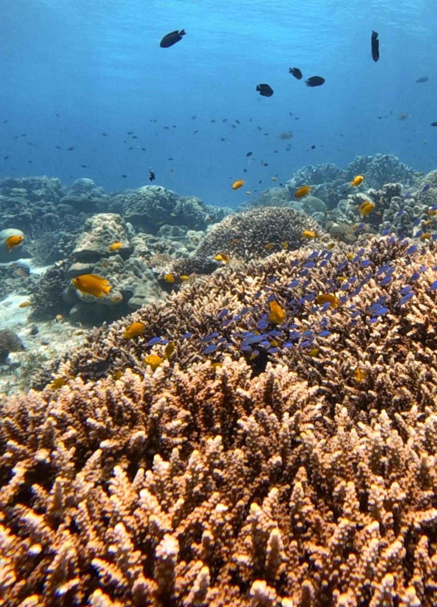 La Pang Resort 라팡리조트 Panglao Bagian luar foto