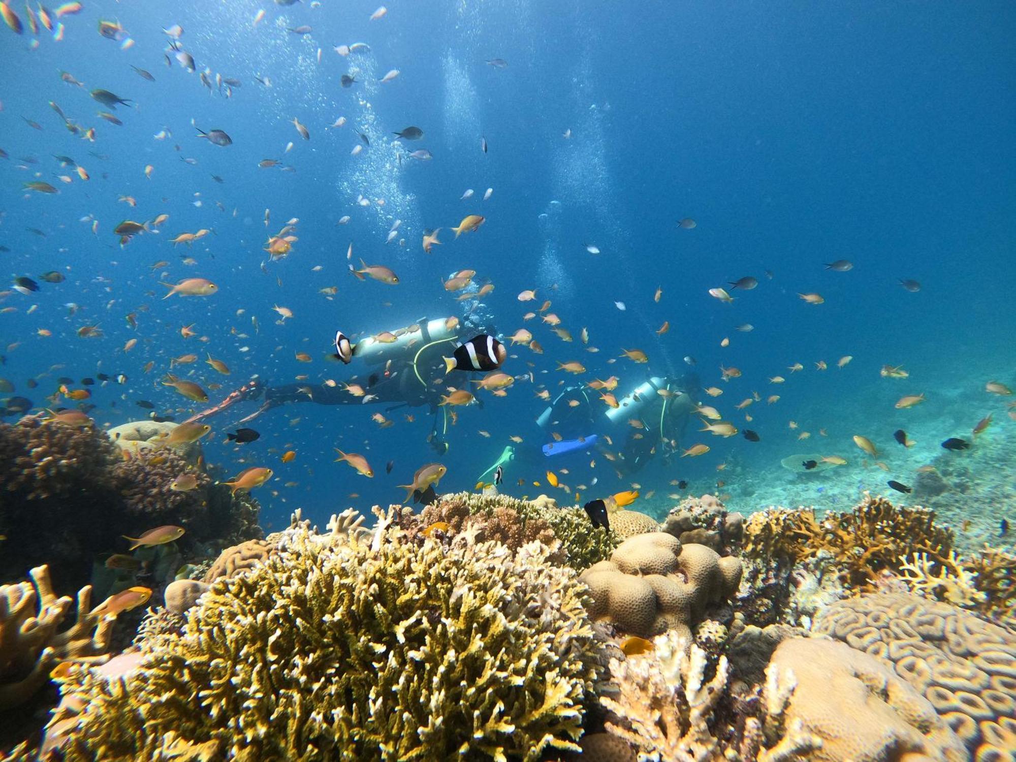 La Pang Resort 라팡리조트 Panglao Bagian luar foto